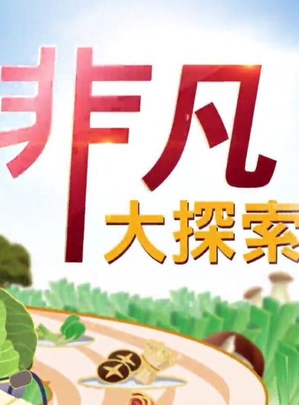 【空姐の恩赐】麻衣空姐！颤抖的淫美肉体！ - AV研究所